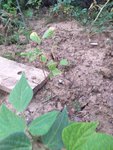 20200821_191422.jpg