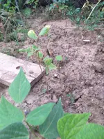 20200821_191422.webp