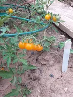 20200821_191323.webp