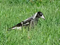 IMG_6005 btv (2).webp