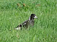 IMG_6006 v (2).webp