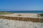 DSC08403.JPG