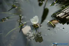 comp_DSC09342.webp