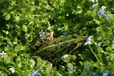 comp_DSC09343.webp