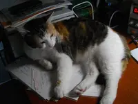 IMGP9818.webp