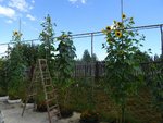 k-DSC03309.JPG