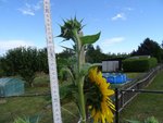 k-DSC03305.JPG
