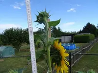 k-DSC03305.webp