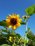 20200816_171410.jpg