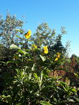 20200821_090459.jpg