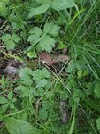 IMG_20200823_202126.jpg