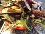 IMG_6193.JPG