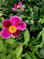 IMG_20200823_171950.webp
