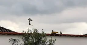 IMG_20200804_093225 (1).webp