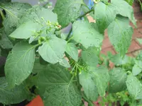 IMG_2568[1].webp