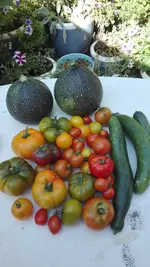 IMG_20200811_161548.webp