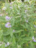20200824_180307.webp
