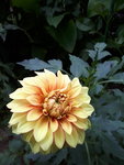 20200823_145317.jpg