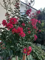 20200824_201801.webp