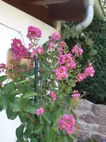 20200823_164615.webp