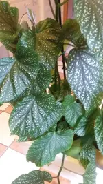 20200826_093309.webp