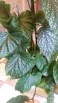 20200826_093309.jpg