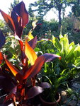 20200821_090358.jpg