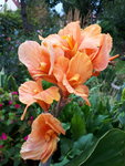20200825_181535.jpg
