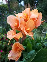 20200825_181535.jpg