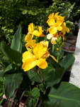 20200823_140233.jpg