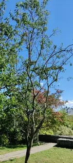 IMG_20200826_140410.webp