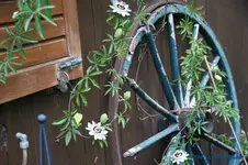 comp_DSC09351.webp