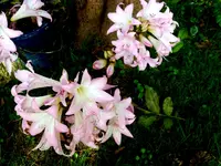 P1020180.JPG