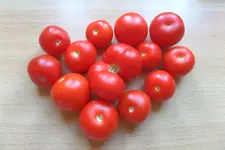 SAM_0010.webp