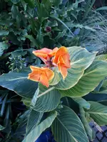 20200827_200722.webp