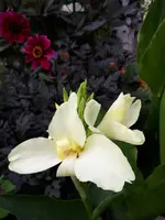 20200824_180934.webp