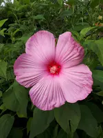 20200824_180915.webp