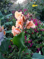 20200822_194117.webp