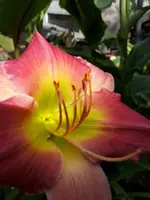 20200823_132607.webp
