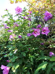 20200823_113713.jpg