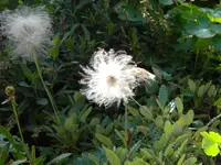 DSCN9877.webp