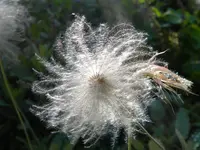 DSCN9876.webp