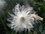 DSCN9876.JPG