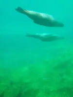 20200828_103138.webp