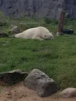 20200828_103421.webp