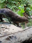 20200828_104656.jpg