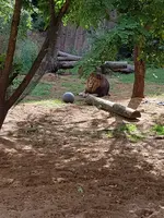 20200828_110138.webp