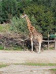 20200828_111631.jpg