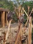 20200828_132148.jpg