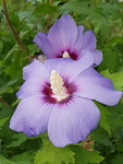 20200828_120713.jpg